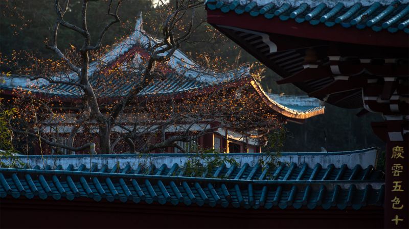 Temple Scenery
