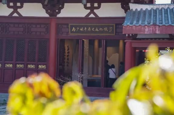 First time meeting, the South Shaolin in the eyes of a tea art teacher