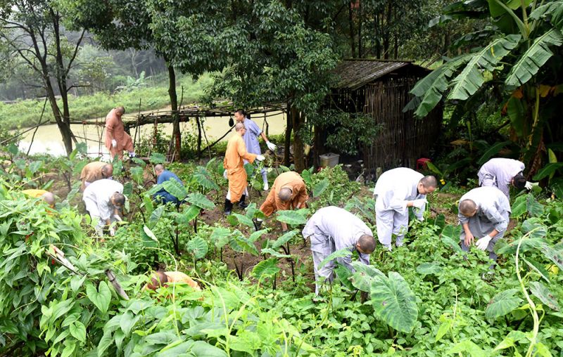 The collective labor of the monastic community, 'going out of the slope' is also a form of spiritual practice