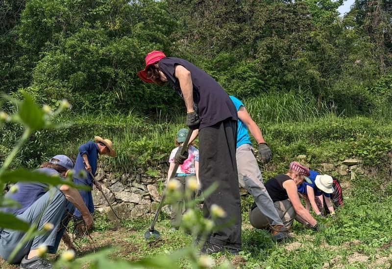 International friends gain joy and insights from experiencing agricultural Zen labor