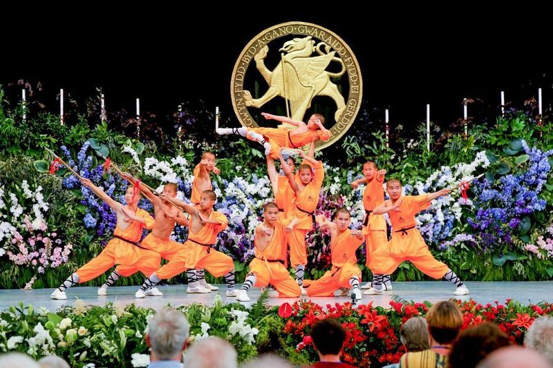 The journey of Zen, martial arts, and health preservation in Southern Shaolin has come to a successful conclusion, and the friendship between China and foreign countries continues with a new chapter